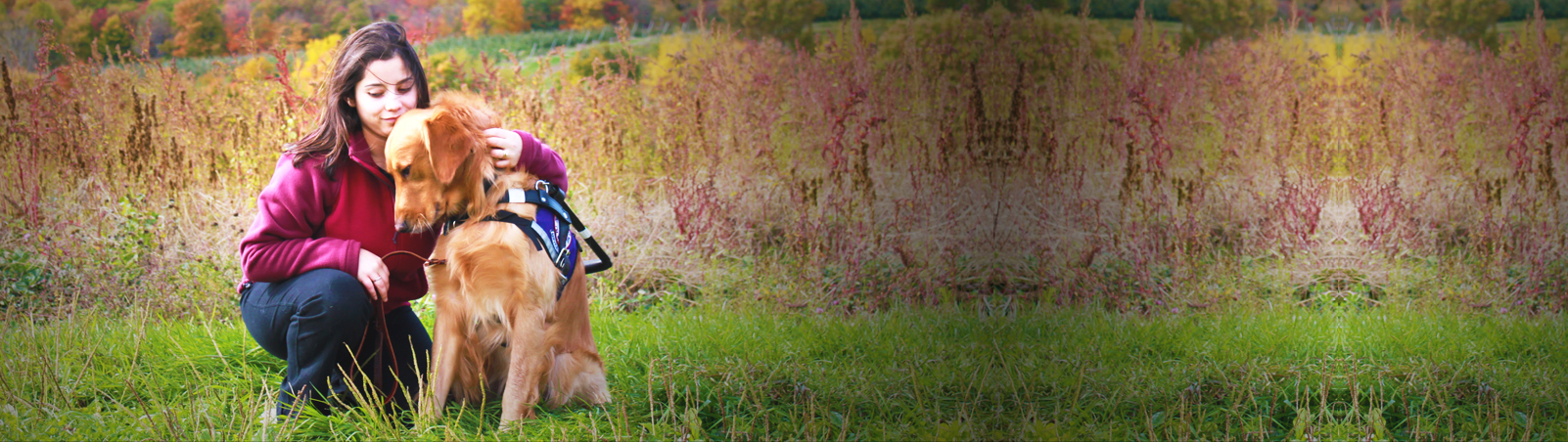 International Canine Association, Inc